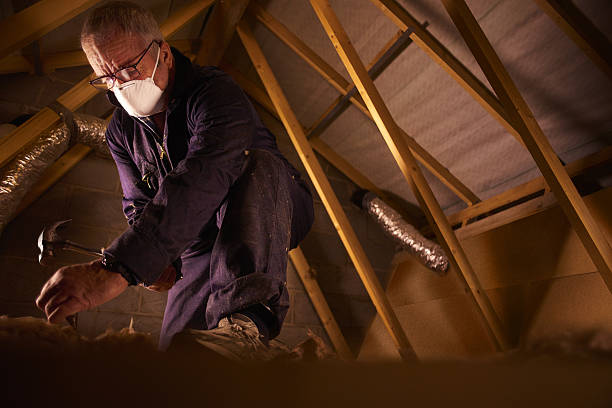 Best Types of Insulation in Beale Af, CA
